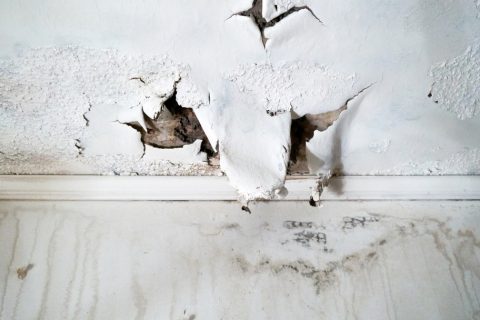 Health risk associated with water damage