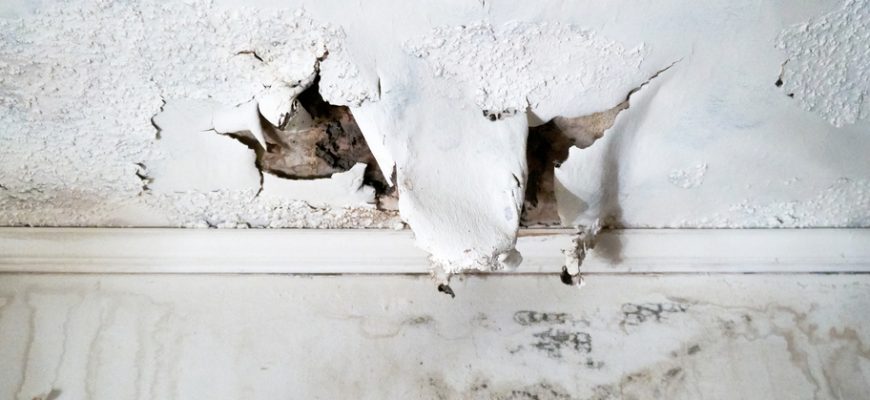 Health risk associated with water damage